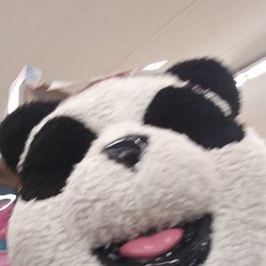 Meet your Posher, Herman